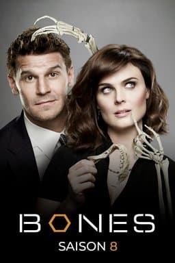 Season 8