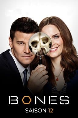 Season 12