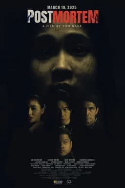 Postmortem (2025)