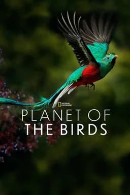 Planet of the Birds (2018)