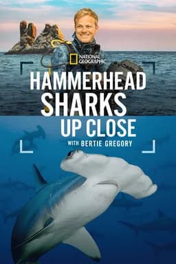 Hammerhead Sharks Up Close with Bertie Gregory (2026)