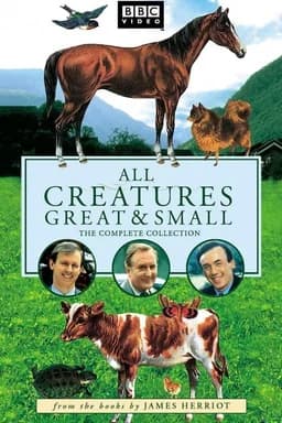 All Creatures Great & Small - Season 6