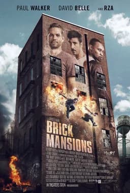 Brick Mansions (2014)