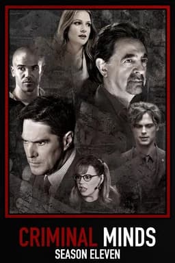 Season 11