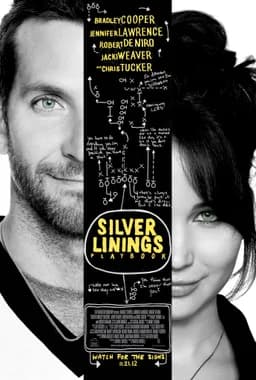 Silver Linings Playbook (2012)