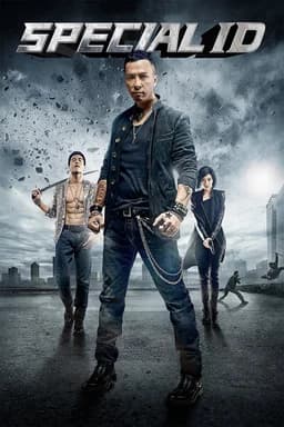 Special ID (特殊身份) (2013)