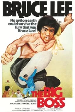 The Big Boss (1971)