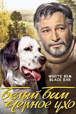 White Bim Black Ear (1977)