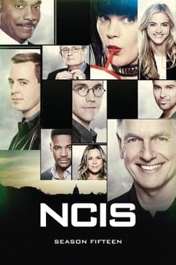 Season 15