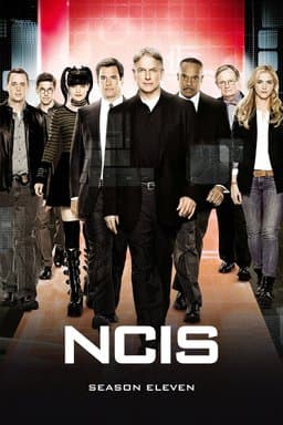 Season 11