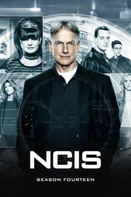 Season 14
