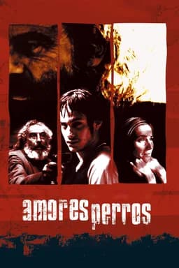 Amores Perros (2000)