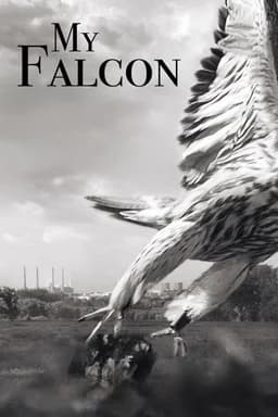 My Falcon (2023)