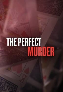 The Perfect Murder - Season 3
