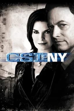 CSI: NY - Season 5
