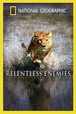 Relentless Enemies (2006)
